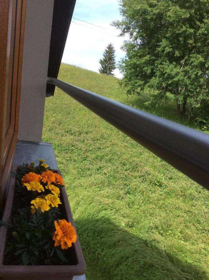 Apartman Odolov Jestrebi Hory Male Svatonovice Exteriör bild